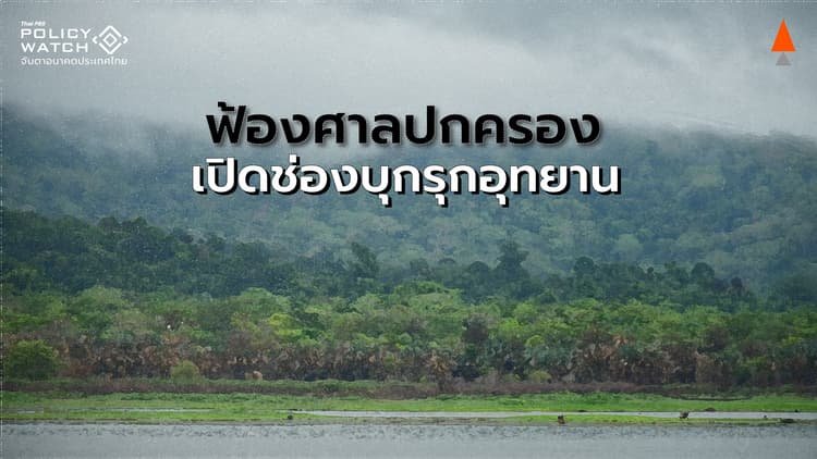 ฟ้องศาลปกครอง"คุ้มครอง" ช่องทางทุนบุกรุกพื้นที่ป่า