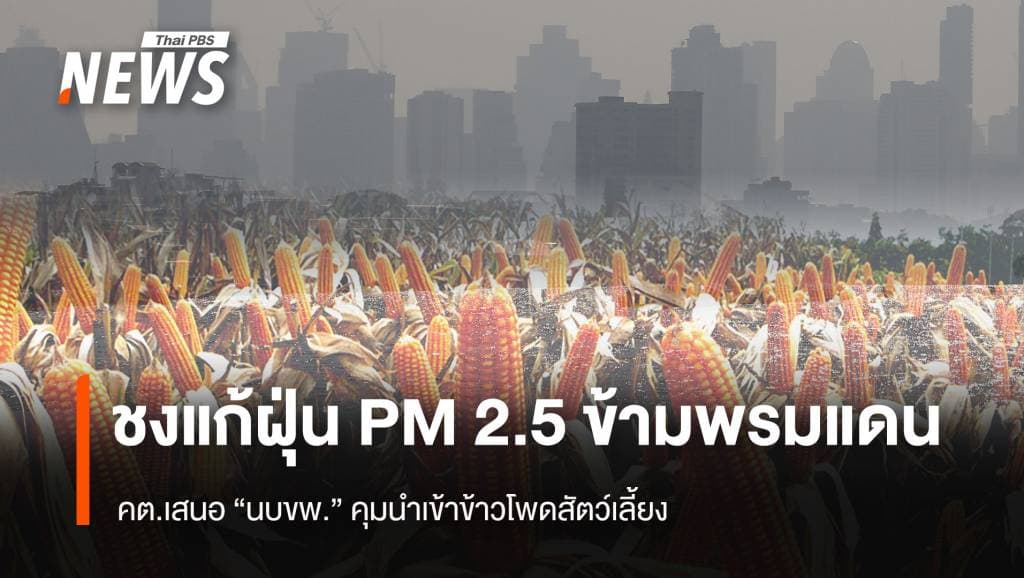 ชงนบขพ.แก้ PM 2.5 ข้ามพรมแดน คต.เสนอคุมนำเข้าข้าวโพดสัตว์เลี้ยง