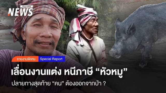 เลื่อนงานแต่ง หนีภาษีหัวหมู ปลายทางสุดท้าย &#8220;คน&#8221; ต้องออกจากป่า