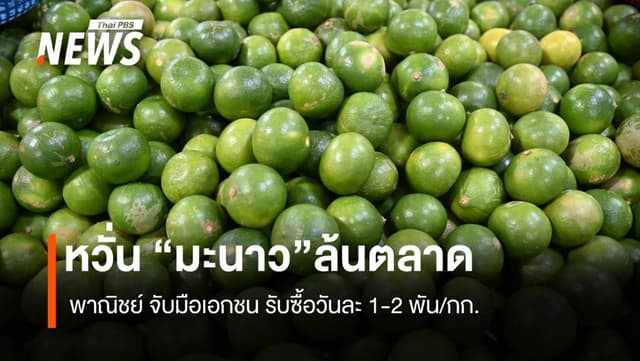 หวั่นมะนาวล้นตลาด พาณิชย์ จับมือเอกชนรับซื้อวันละ 1-2 พัน/กก