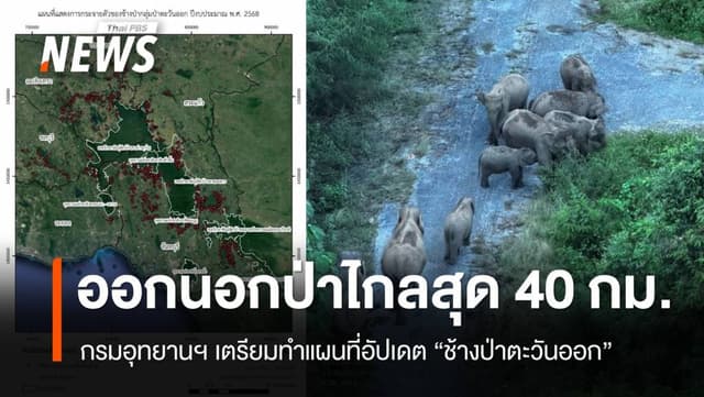 เล็งทำแผนที่อัปเดต &#8220;ช้างป่าตะวันออก&#8221; พบออกนอกป่าไกลสุด 40 กม.