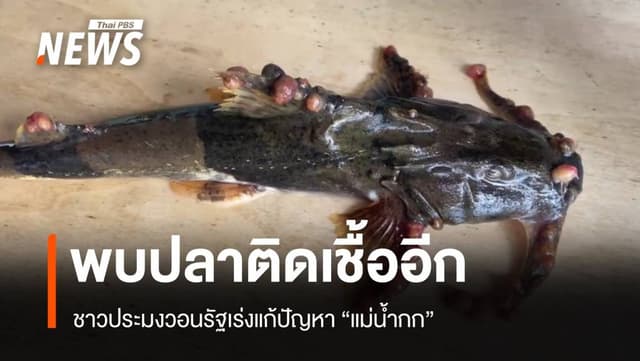 พบปลาติดเชื้ออีก ชาวบ้านเดือดร้อนหนัก วอนรัฐเร่งแก้ปัญหา &#8220;น้ำกก&#8221;