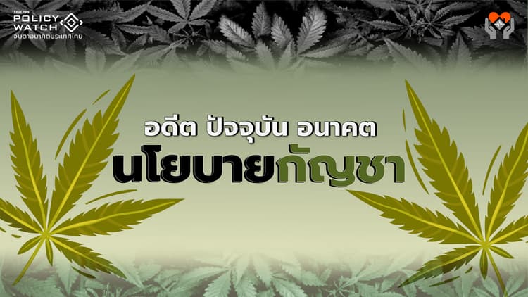 อดีต ปัจจุบัน อนาคต นโยบายกัญชา