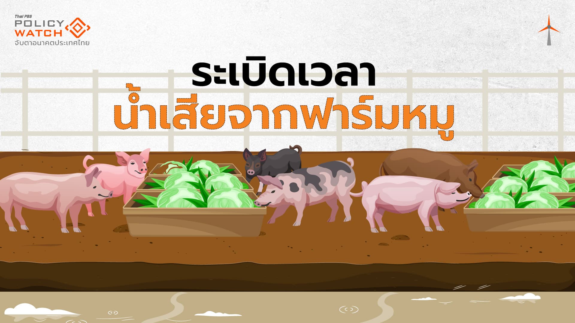 วิกฤตน้ำเสียฟาร์มหมู รัฐห้ามปล่อย แต่ไร้กลไกดูแล