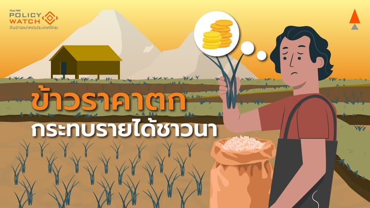 วิบากกรรมเกษตรกรไทย น้ำดี-ปลูกข้าวได้มาก-แต่ราคาร่วง
