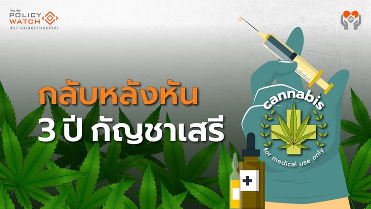"กัญชาเสรี"สะดุดการเมือง กลับมาเป็น "ยาเสพติด"