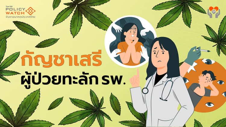เปิดกัญชาเสรี เพิ่มผู้ป่วยมากกว่าประโยชน์